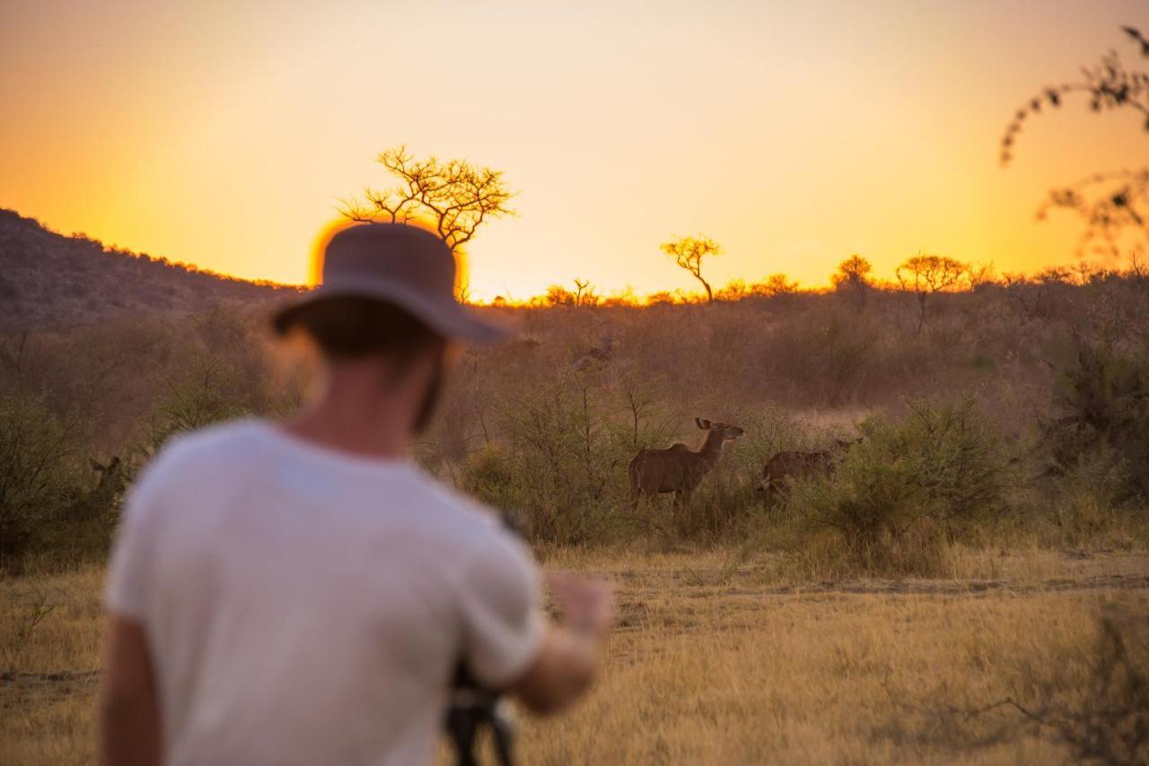 Rockfig Lodge Madikwe محميّة ماديكوي الطبيعيّة للطرائد المظهر الخارجي الصورة