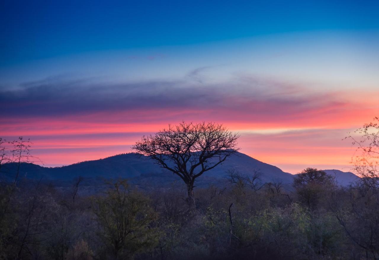 Rockfig Lodge Madikwe محميّة ماديكوي الطبيعيّة للطرائد المظهر الخارجي الصورة