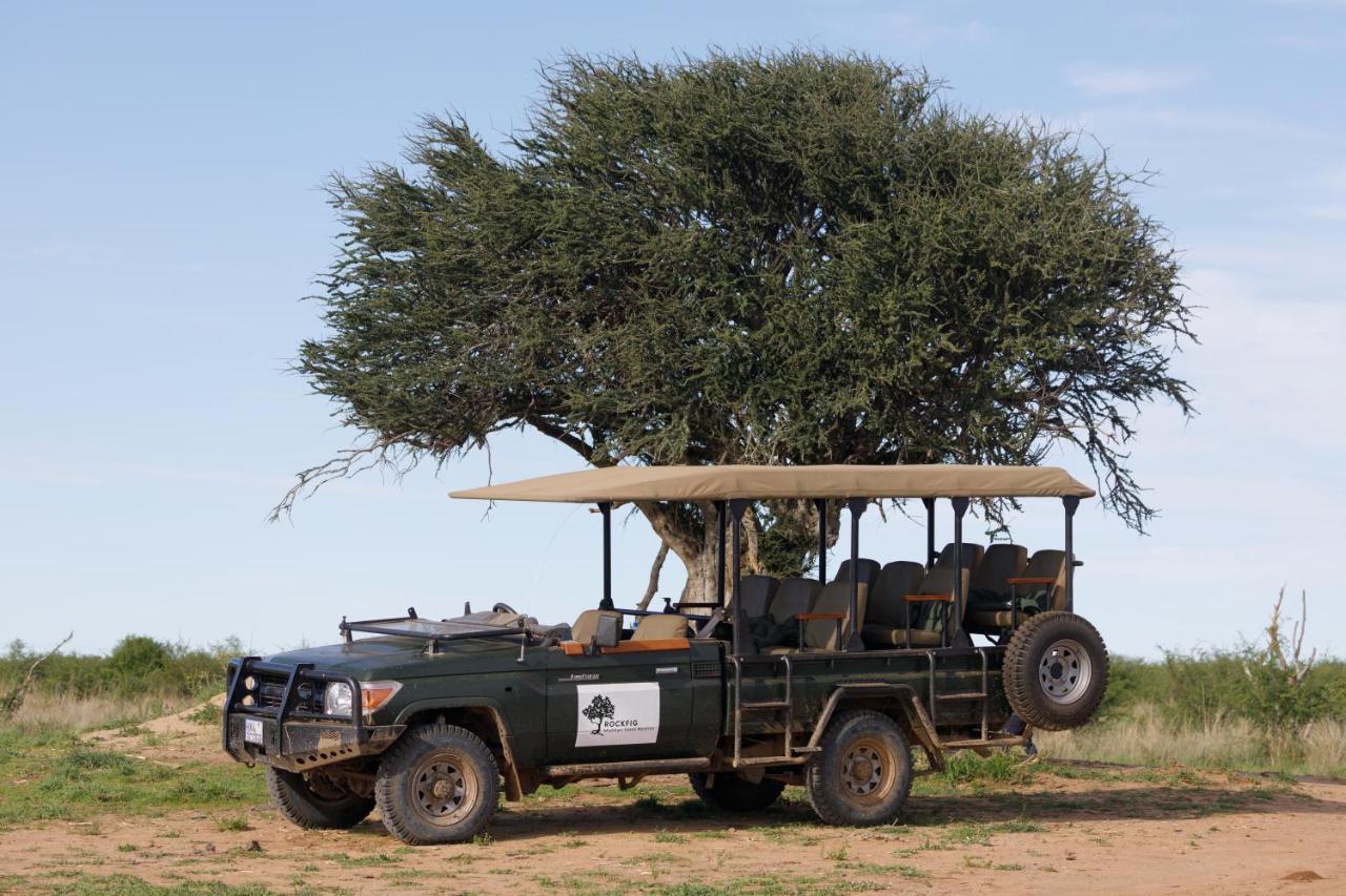 Rockfig Lodge Madikwe محميّة ماديكوي الطبيعيّة للطرائد المظهر الخارجي الصورة